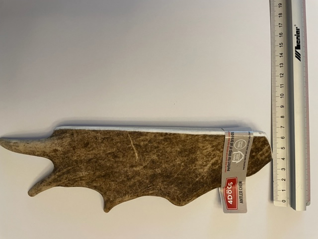 Rusa bera lebar XXL 4-7cm.jpg